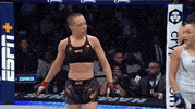 Mixed Martial Arts Fighting GIF by UFC