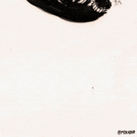 Fox Artists On Tumblr GIF by Animation Domination High-Def