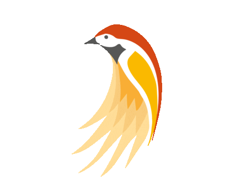 Sticker by Sparrow Missions