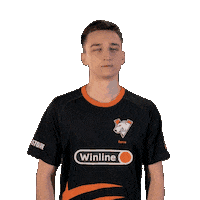 Esports Fame Sticker by Virtus.pro