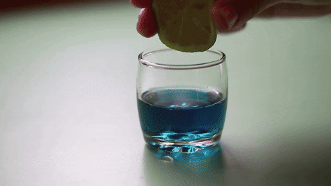 carlaperalva giphygifmaker comida cores estadao GIF