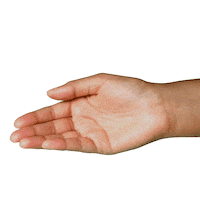 Green Tea Skincare Sticker by Plum Goodness