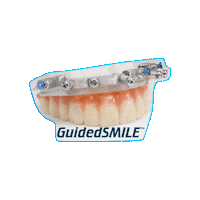 CHROMEGuidedSMILE  Sticker