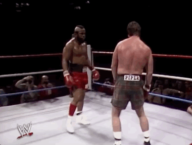 roddy piper wrestling GIF by WWE