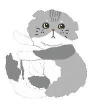 Sad Cat Sticker