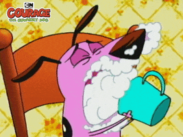 Courage The Cowardly Dog GIF by Cartoon Network