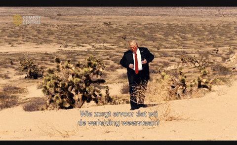 giphy.gif