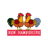 Newhampshire Sticker
