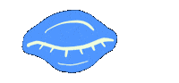 Look See Sticker
