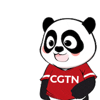 Panda Love Sticker by CGTN V-Studio
