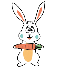 Rabbit Lapin Sticker by Hopbox