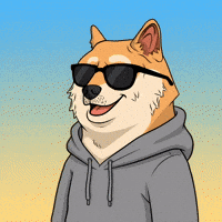 Happy Shiba Inu GIF by Doge Pound