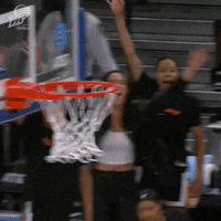 Womens Basketball Sport GIF by Phoenix Mercury