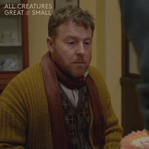 allcreaturestv giphyupload animals nodding knitting GIF