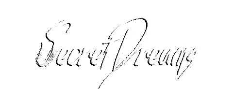 SecretDreamsFest giphyupload secret dreams secret dreams Sticker