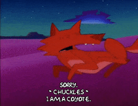 season 8 coyote GIF