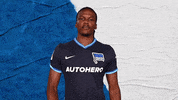 Bundesliga Berlin GIF by Hertha BSC