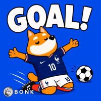 Goal Fifaworldcup GIF by BONK
