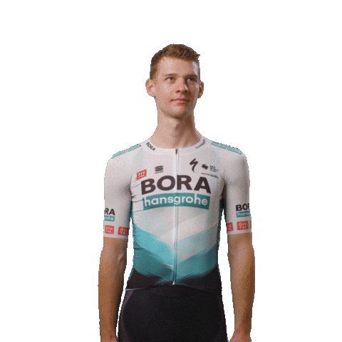BORA-hansgrohe giphyupload down hole away Sticker