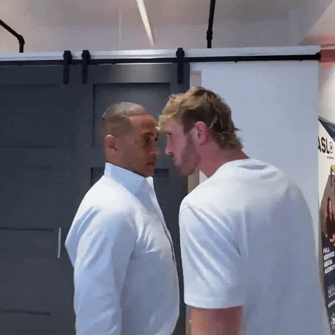 Logan Paul Fight GIF by Respective