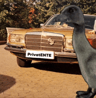 Duck Mercedes GIF