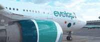 Viajar Cabin Crew GIF by Iberojet