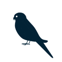 fidelebeer bird fidelebeer Sticker