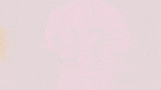 Football Sport GIF by FC Red Bull Salzburg