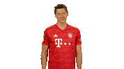 Fc Bayern Hello Sticker by Bundesliga