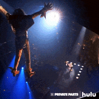 howard stern radio GIF by HULU