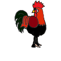 Rooster Hahn Sticker