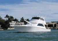 fyiyachts  GIF