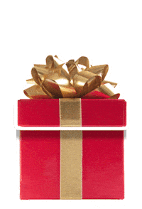 Burlybearpom christmas xmas gift present Sticker