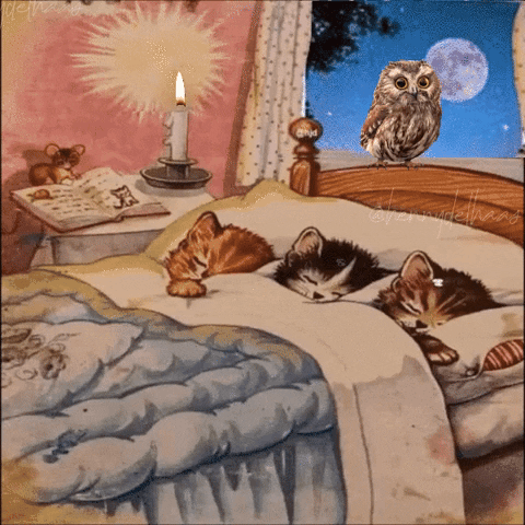 hjb8860 giphygifmaker giphyattribution GIF