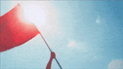 doublet bearourbanners GIF