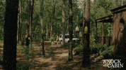 Fun Swimming GIF by Knock At The Cabin