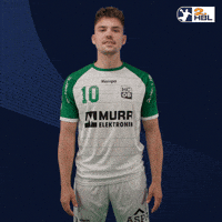 Handball Froehlich GIF by DAIKIN HBL