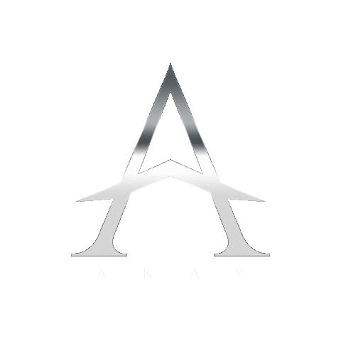 AkayBusiness giphyupload akay akaykayed Sticker