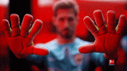 Frankfurt Sge GIF by Bundesliga