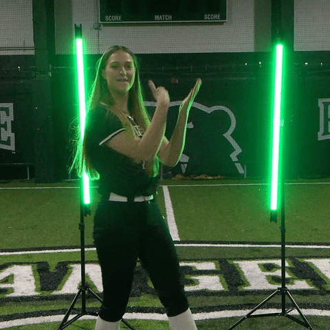 Parkside Softball GIF by Parkside Athletics