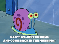 season 8 episode 22 GIF by SpongeBob SquarePants