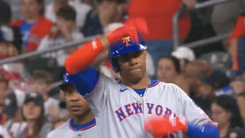 Celebrate New York Mets GIF by MLB