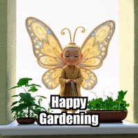 Gardening Herbs GIF by BuddhaFlyJourney