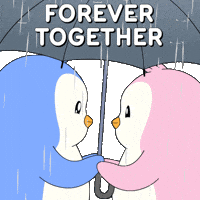 I Love You Romance GIF by Pudgy Penguins