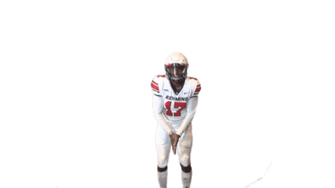 English Touchdown Sticker by Richmond Spiders