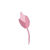 gishellamonica smile pink flower grow Sticker