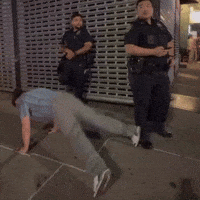 Police Pigs GIF by Respective