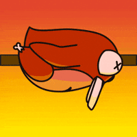 Crypto Penguin GIF