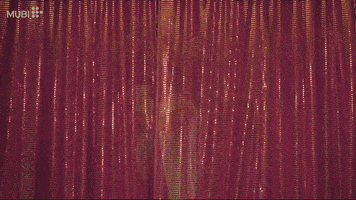 Entering Latin America GIF by MUBI