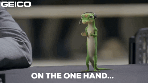 On The One Hand Choices GIF by GEICO